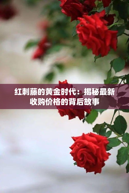 第1998页