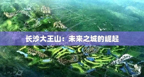 专利托管中心 第411页