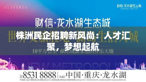 达官贵人 第4页
