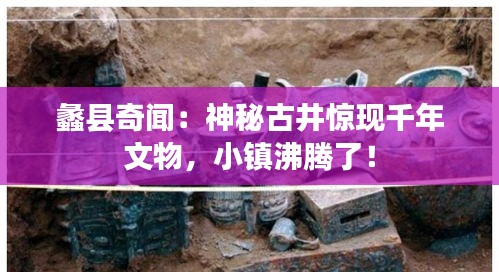 知识产权预算中心 第319页