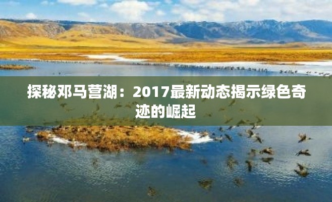 关于我们 第301页