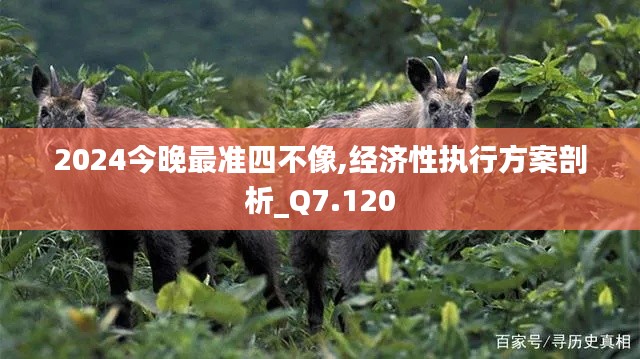 2024今晚最准四不像,经济性执行方案剖析_Q7.120