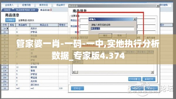 管家婆一肖-一码-一中,实地执行分析数据_专家版4.374