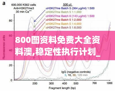 800图资料免费大全资料澳,稳定性执行计划_钻石版5.916