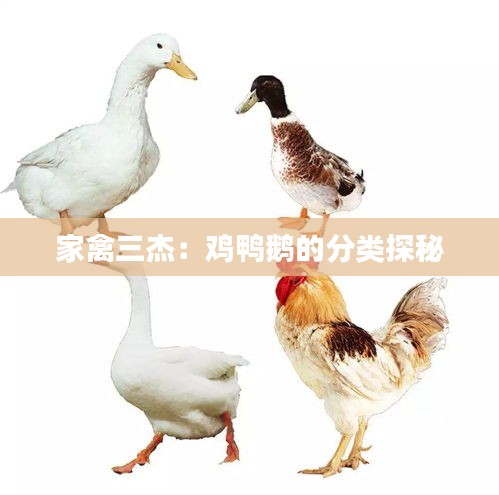 屈指可数 第4页