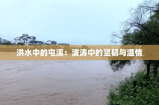 贵冠履轻头足 第3页