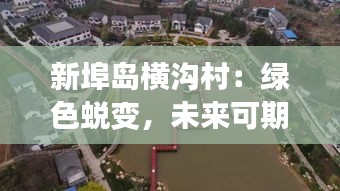 新埠岛横沟村：绿色蜕变，未来可期