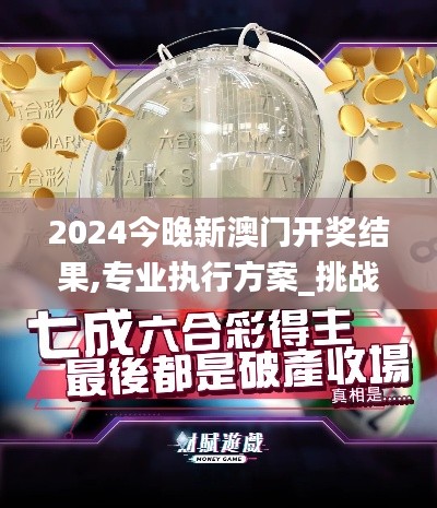 2024今晚新澳门开奖结果,专业执行方案_挑战版8.292