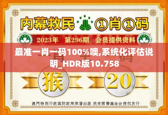 最准一肖一码100%噢,系统化评估说明_HDR版10.758