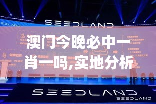 澳门今晚必中一肖一吗,实地分析数据执行_QHD9.404