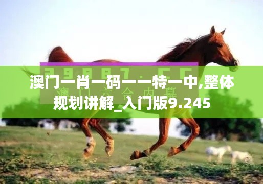澳门一肖一码一一特一中,整体规划讲解_入门版9.245