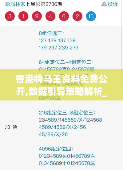 香港特马王资料免费公开,数据引导策略解析_创意版6.416