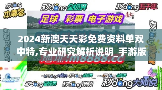 2024新澳天天彩免费资料单双中特,专业研究解析说明_手游版12.344