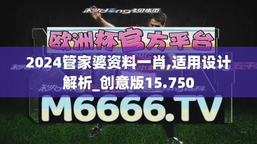 2024管家婆资料一肖,适用设计解析_创意版15.750