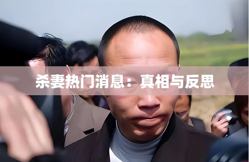 百不得一 第3页