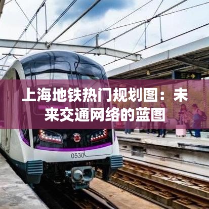 上海地铁热门规划图：未来交通网络的蓝图