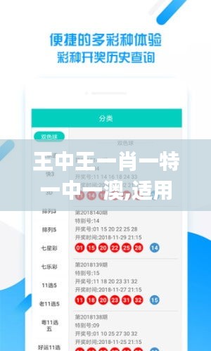 王中王一肖一特一中一澳,适用实施计划_V版2.986