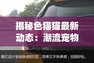 揭秘色猫猫最新动态：潮流宠物界的明星猫来袭！