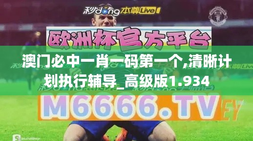 澳门必中一肖一码第一个,清晰计划执行辅导_高级版1.934