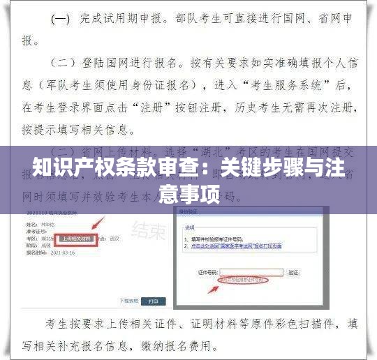 莺啼鸟啭 第3页