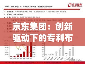 京东集团：创新驱动下的专利布局与战略发展