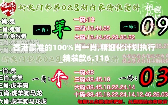 香港最准的100%肖一肖,精细化计划执行_精装款6.116