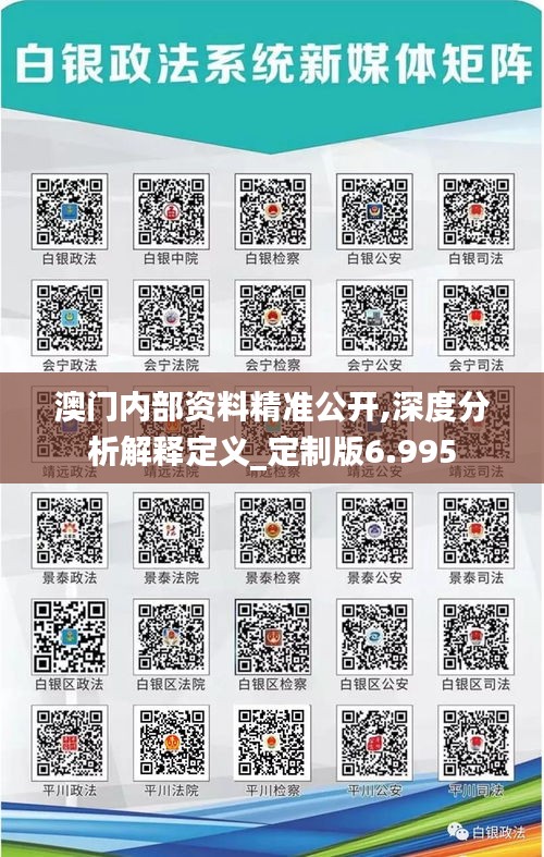 澳门内部资料精准公开,深度分析解释定义_定制版6.995