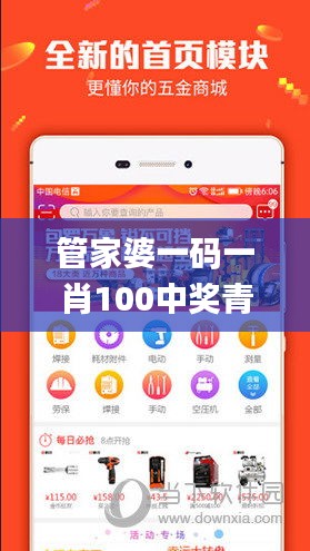 管家婆一码一肖100中奖青岛,整体规划执行讲解_iShop8.399