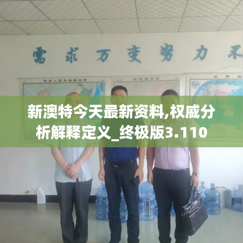 新澳特今天最新资料,权威分析解释定义_终极版3.110