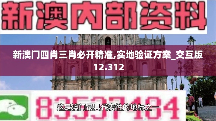 新澳门四肖三肖必开精准,实地验证方案_交互版12.312