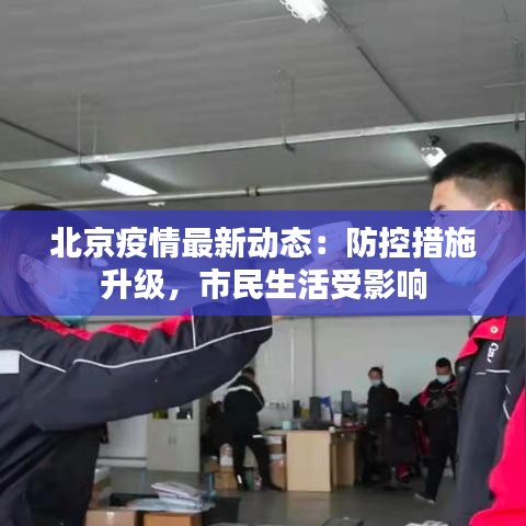 乌鸟私情 第3页