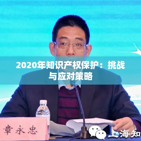 2020年知识产权保护：挑战与应对策略