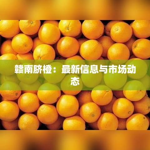 韦编三绝 第2页