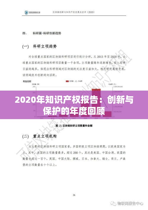 2020年知识产权报告：创新与保护的年度回顾