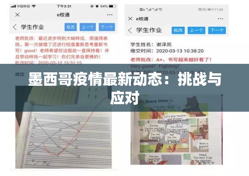 七贵三公 第2页