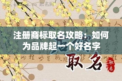 随方就圆 第2页