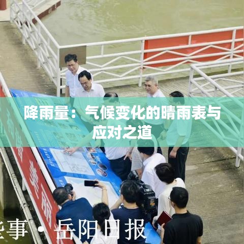 虫言鸟迹 第3页