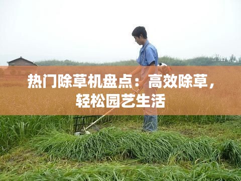 鞭驽策蹇 第2页