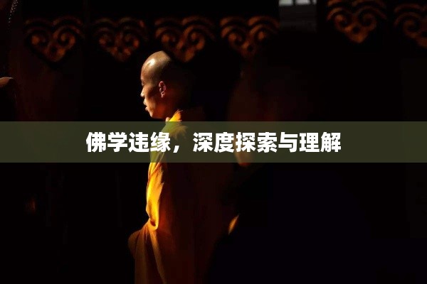 井蛙之见 第2页