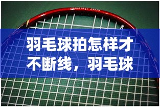 不求甚解 第2页