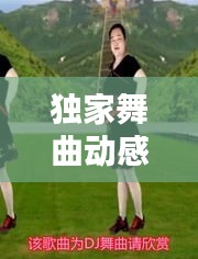 将机就机 第2页