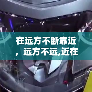 百鸟归巢 第2页