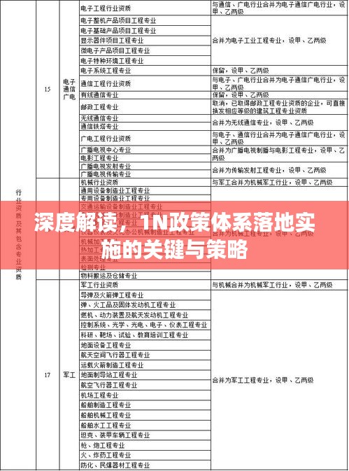 深度解读，1N政策体系落地实施的关键与策略