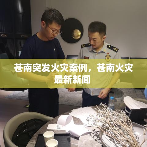 苍南突发火灾案例，苍南火灾最新新闻 