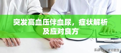 肝胆相照 第2页