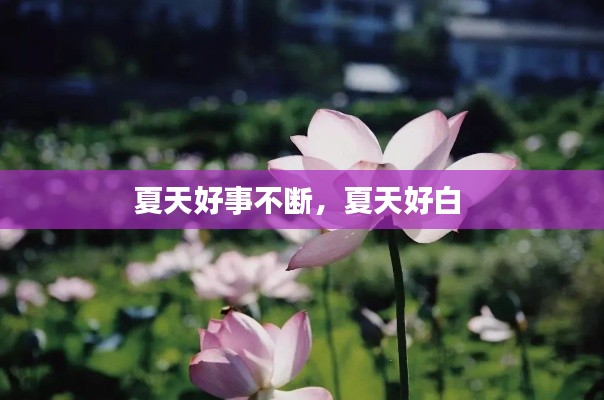攀高结贵 第2页