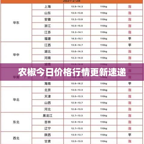 农椒今日价格行情更新速递