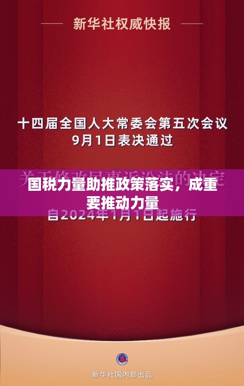 国税力量助推政策落实，成重要推动力量