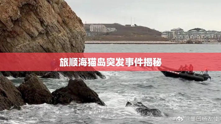 鸟入樊笼 第2页