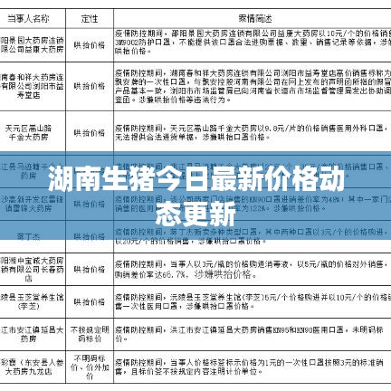 湖南生猪今日最新价格动态更新